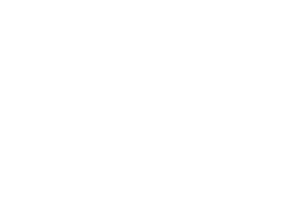 SoarDogg Vertical White